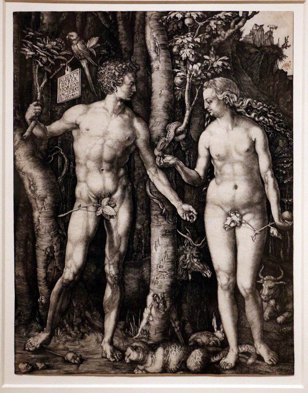 Adam a Eva od Albrecht Dürer