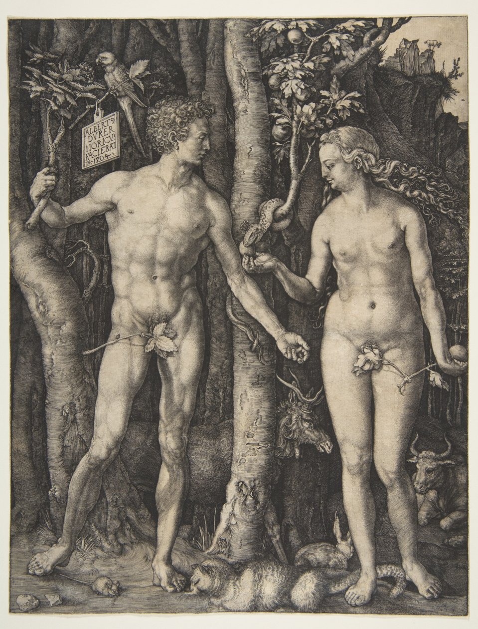 Adam a Eva od Albrecht Dürer