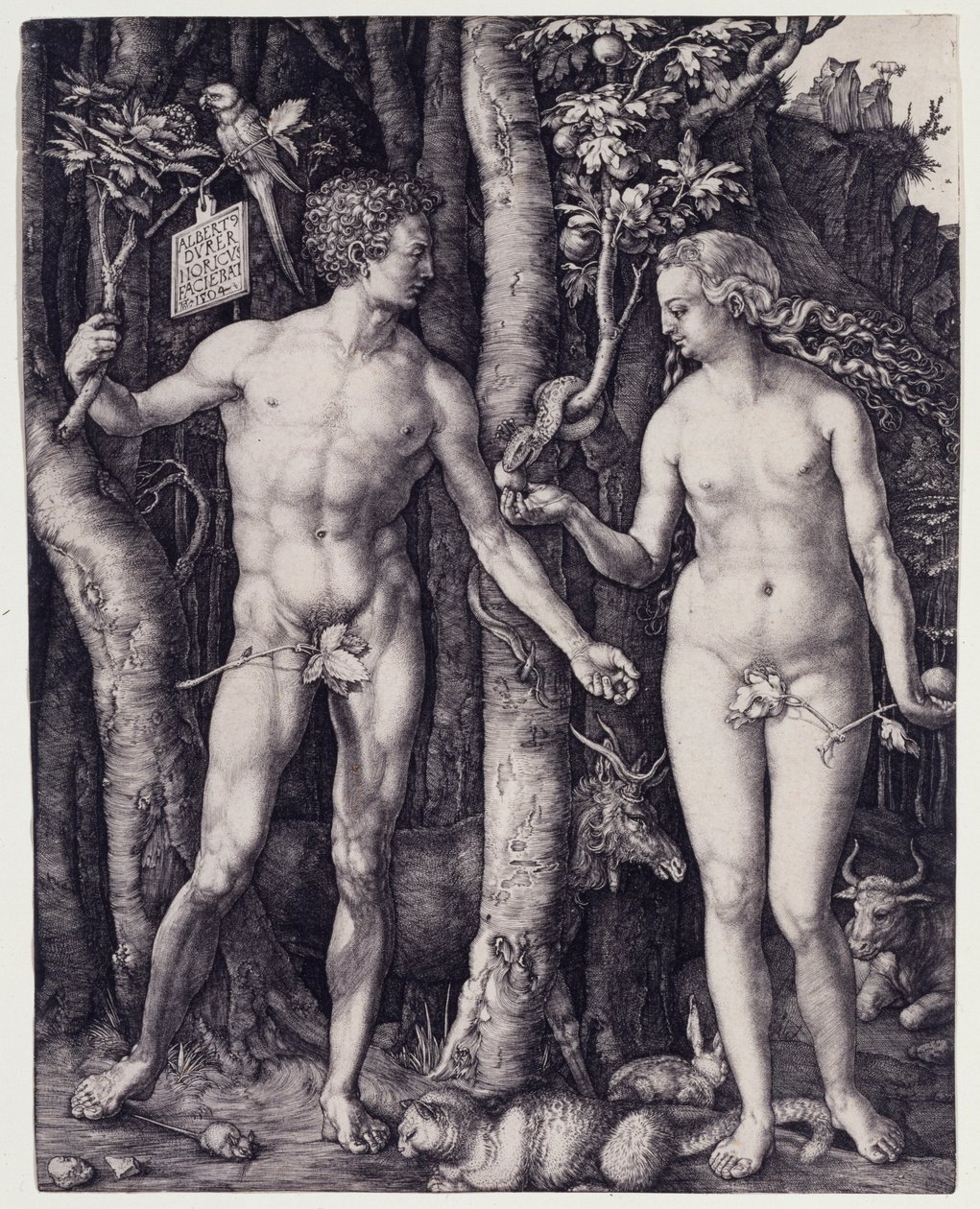 Adam a Eva od Albrecht Dürer