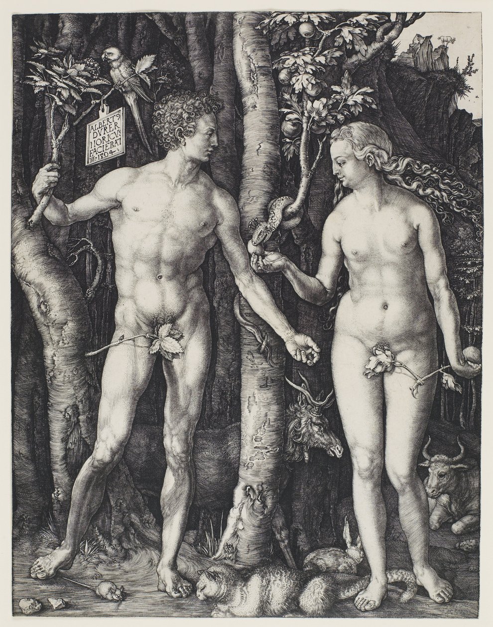 Adam a Eva od Albrecht Dürer