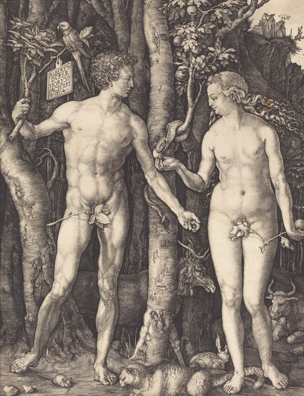 Adam a Eva, 1504. od Albrecht Dürer