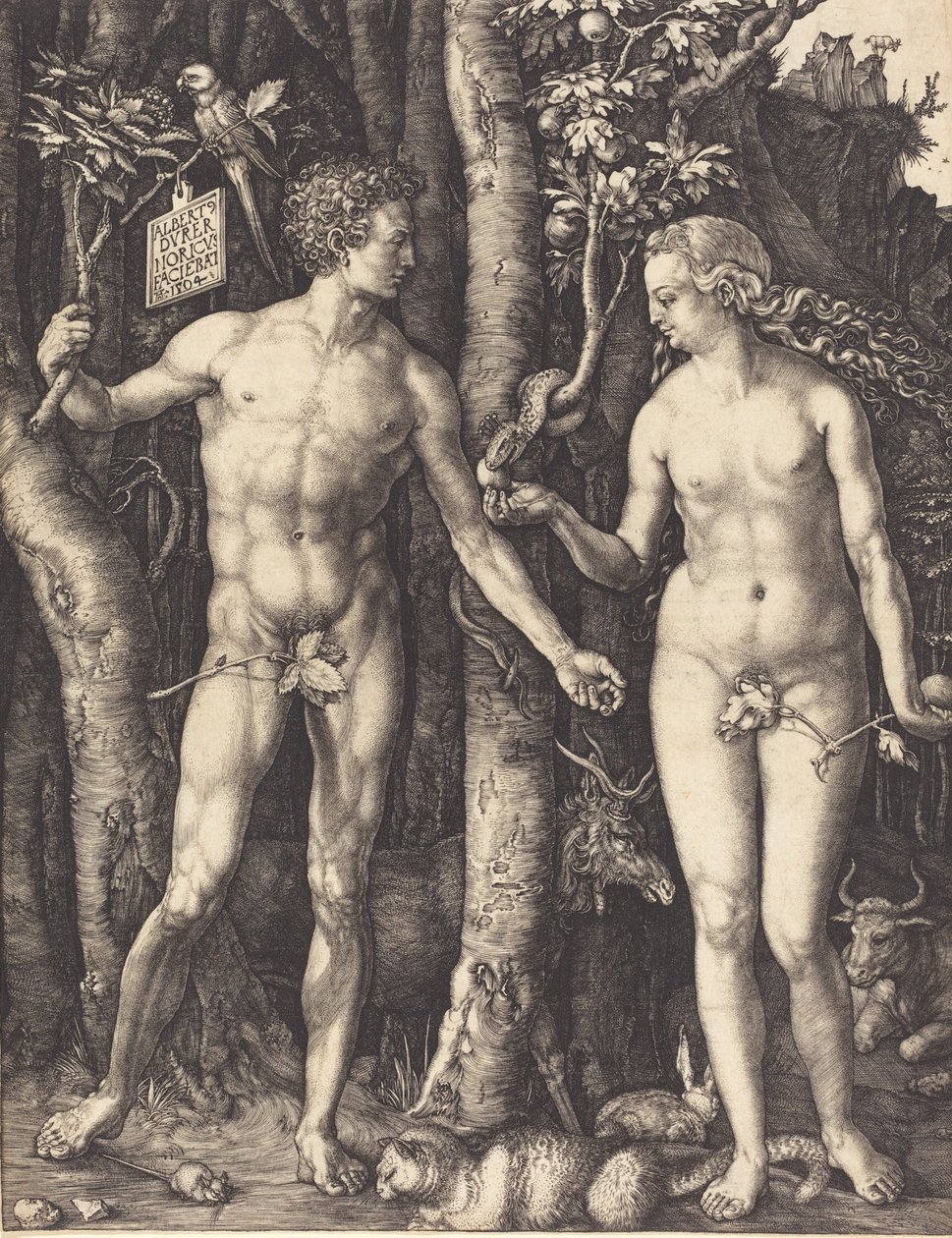 Adam a Eva, 1504. od Albrecht Dürer