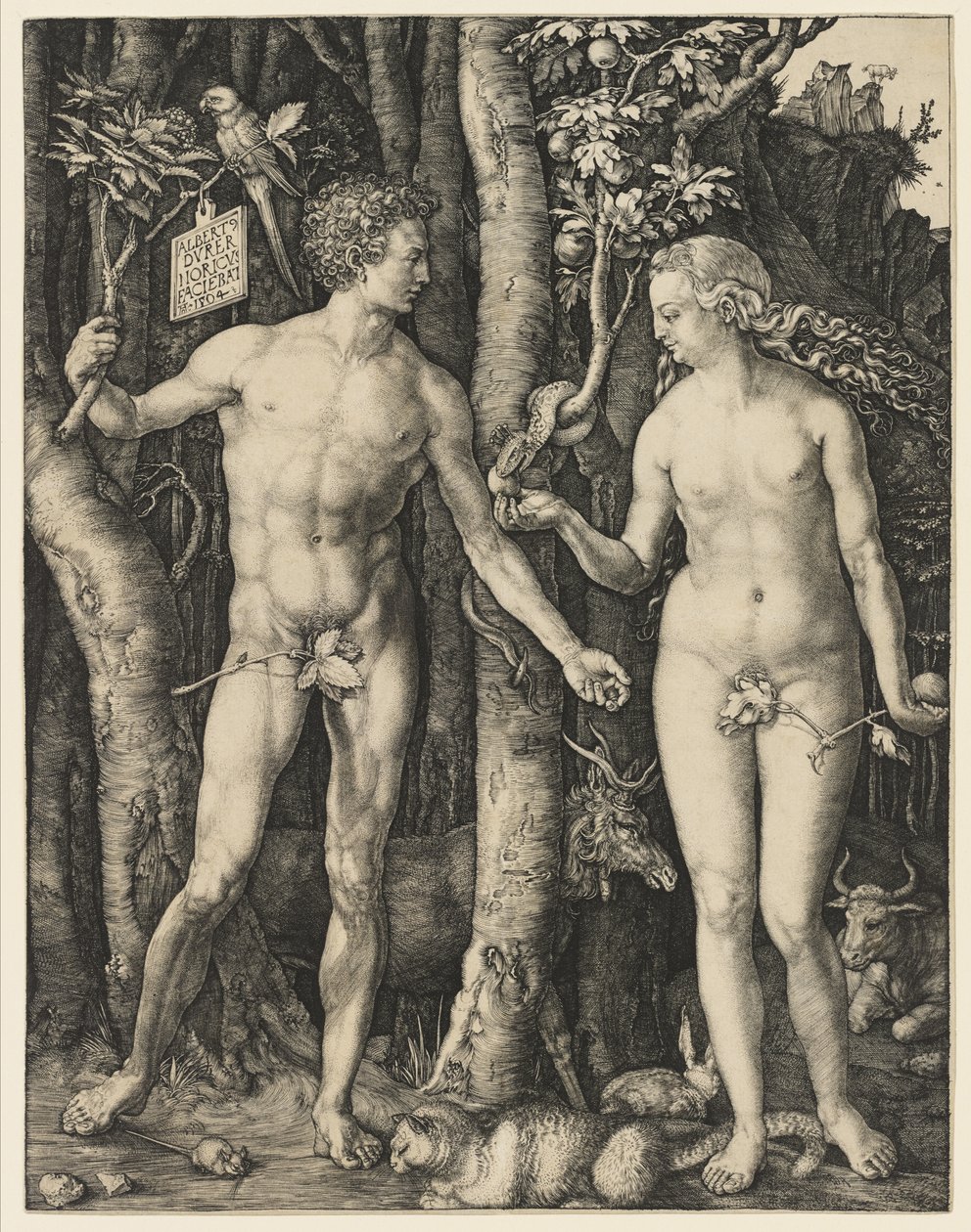 Adam a Eva, 1504 od Albrecht Dürer