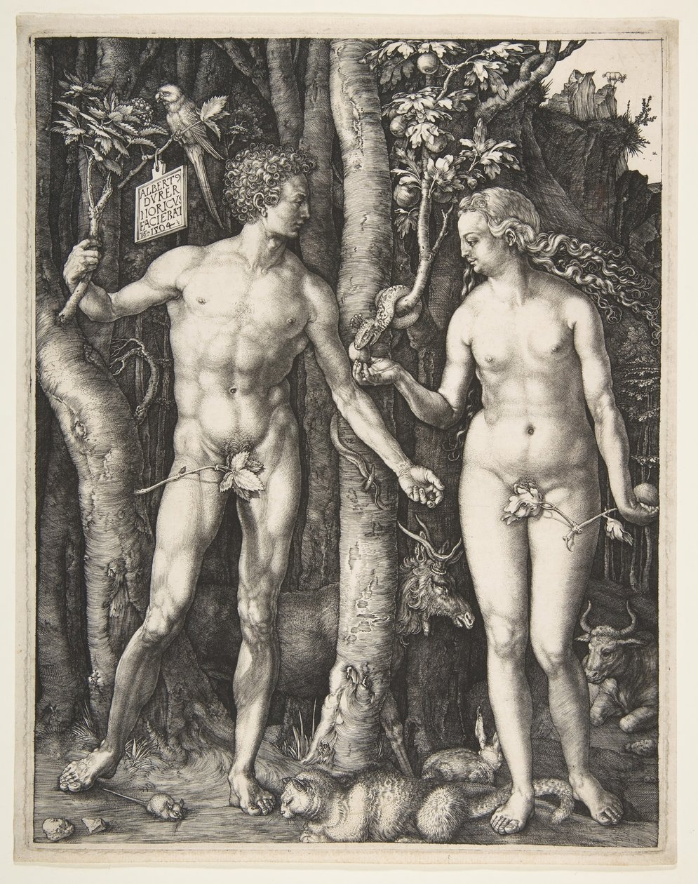 Adam a Eva, 1504. od Albrecht Dürer