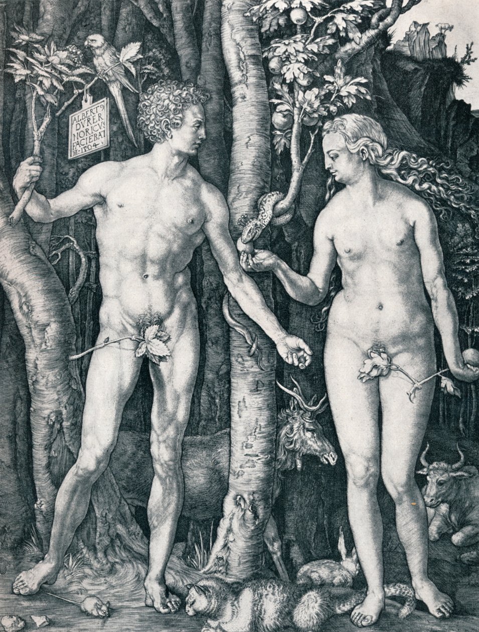 Adam a Eva, 1504 1906 od Albrecht Dürer