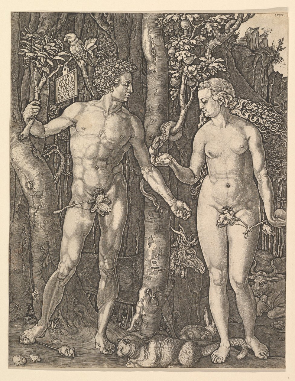 Adam a Eva, 1566. od Albrecht Dürer