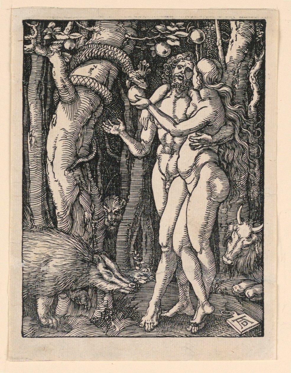 Adam a Even ze seriálu Malá vášeň od Albrecht Dürer