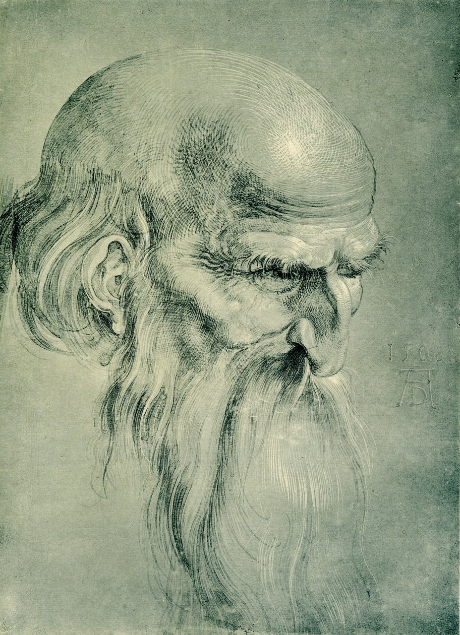 Hlava apoštola od Albrecht Dürer