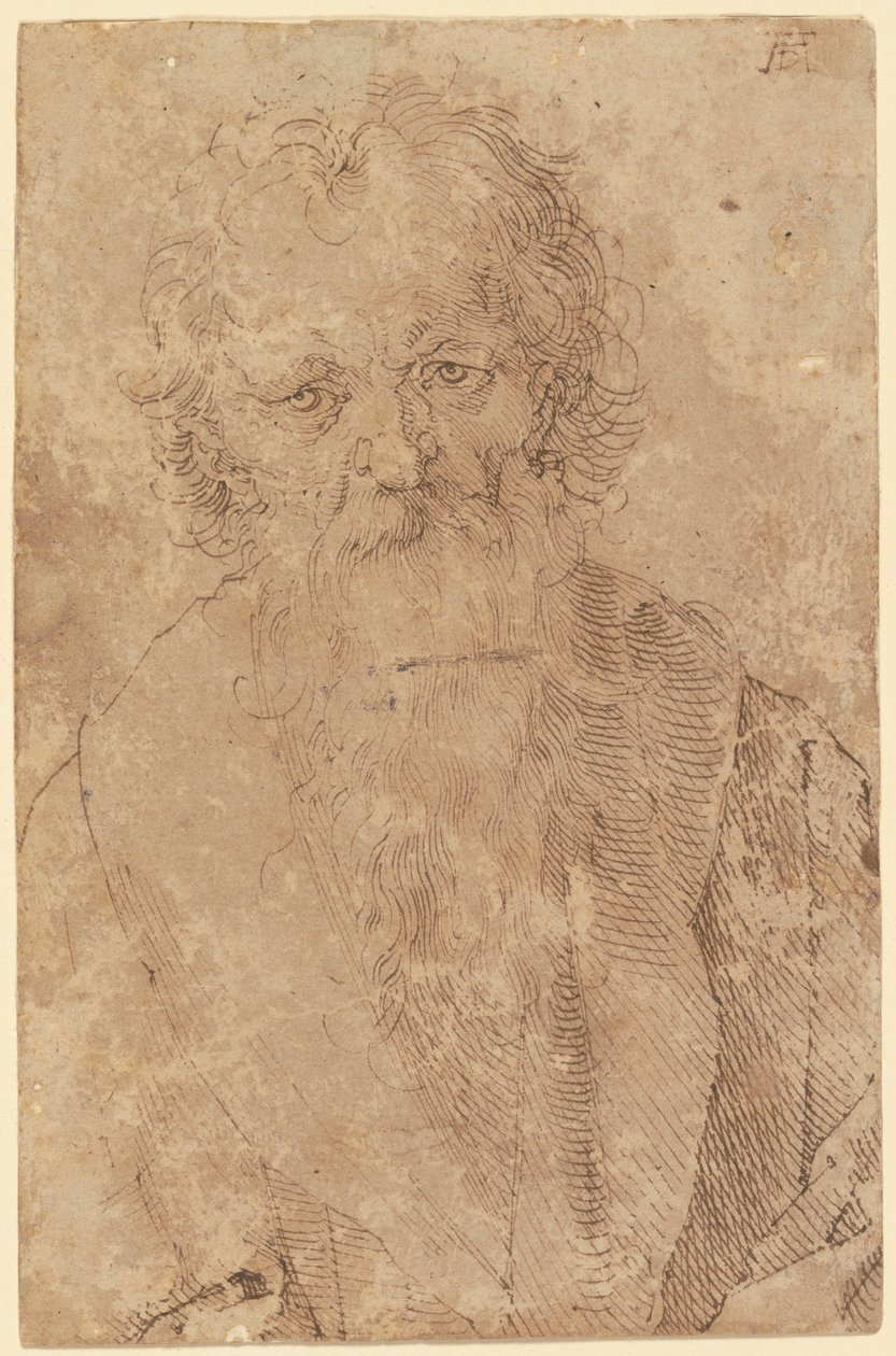 Vousatý starý muž od Albrecht Dürer