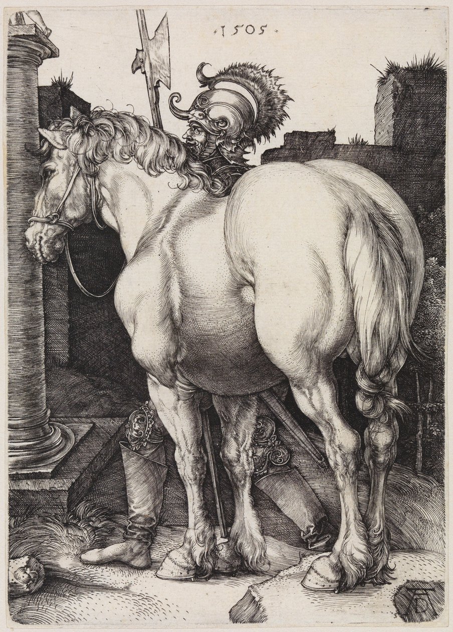 Velký kůň od Albrecht Dürer