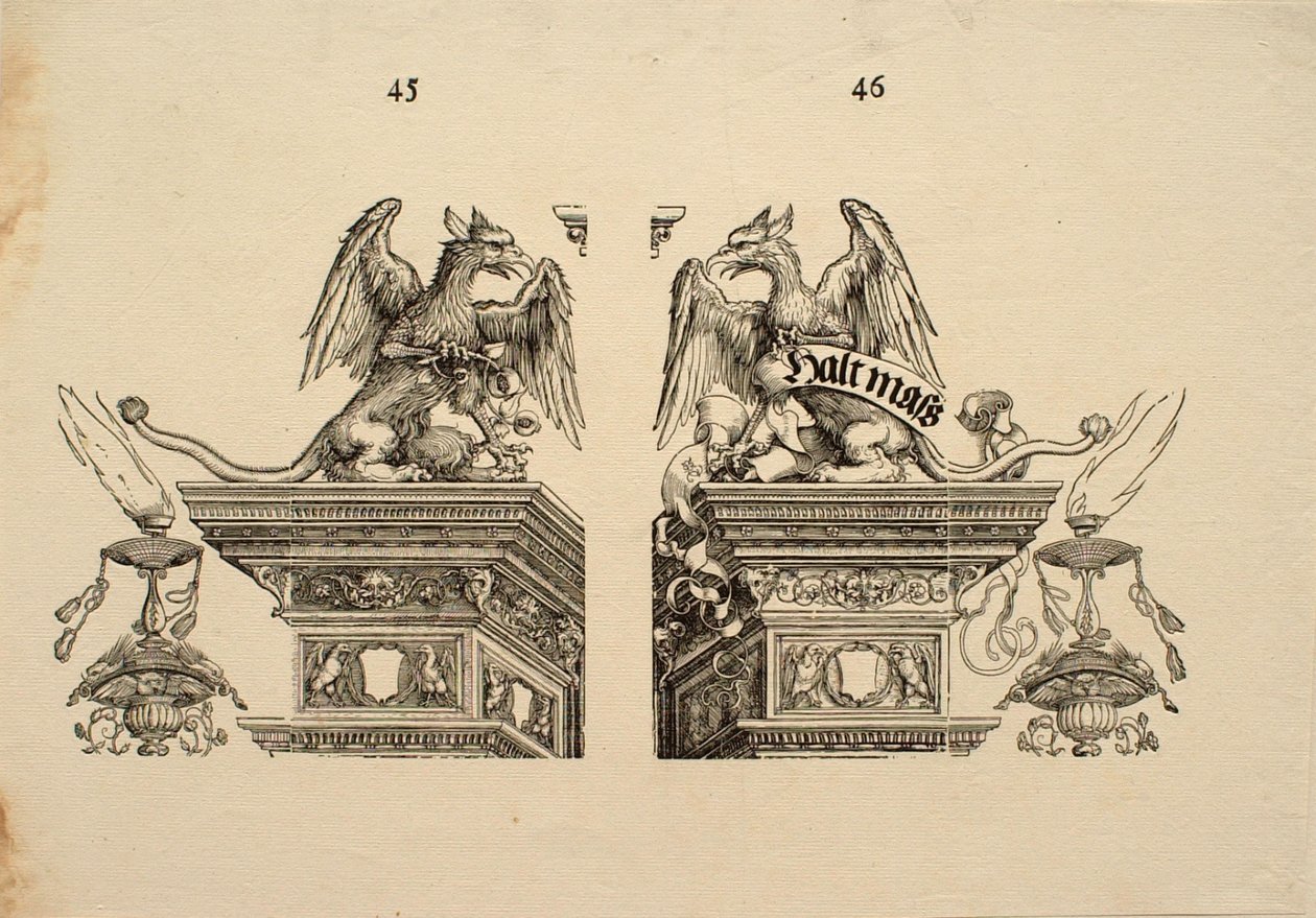 Detail 45 a 46 od Albrecht Dürer