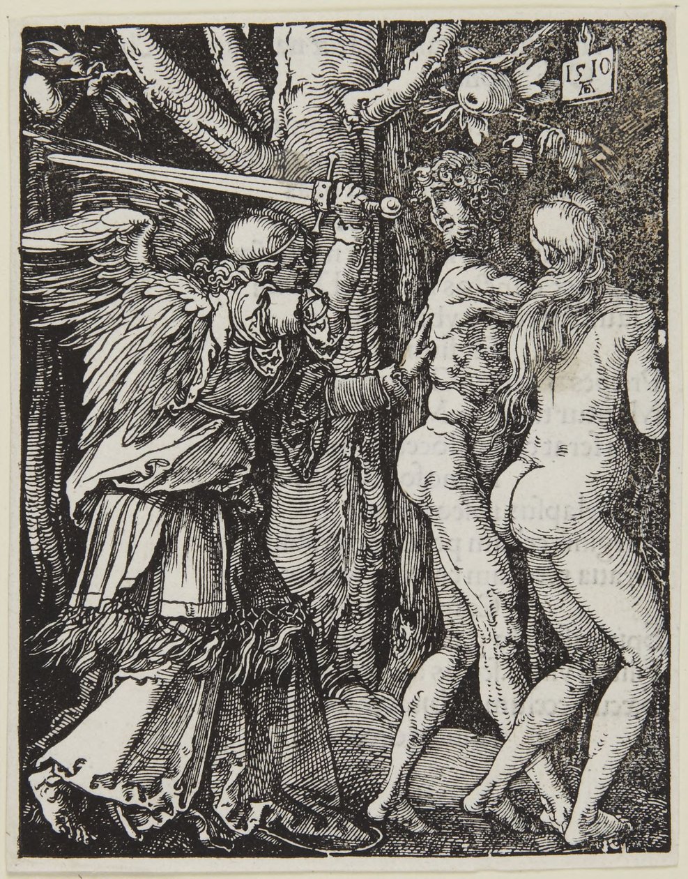 Vyhnání z ráje od Albrecht Dürer
