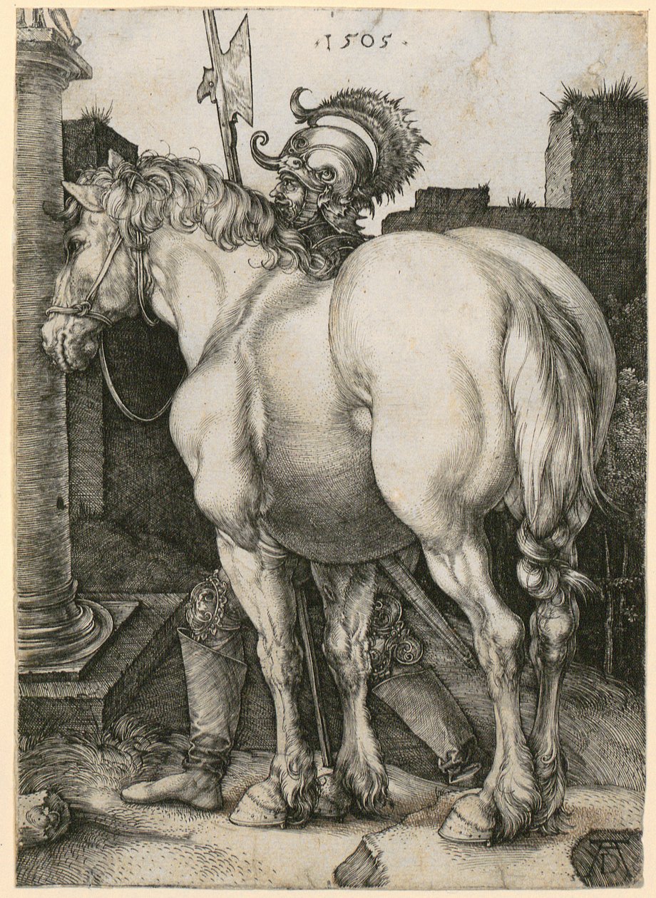 Velký kůň od Albrecht Dürer