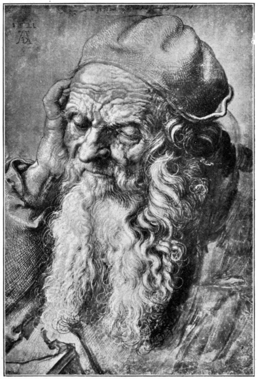 Hlava starého muže, konec 15.-začátek 16. století, 1912. od Albrecht Dürer