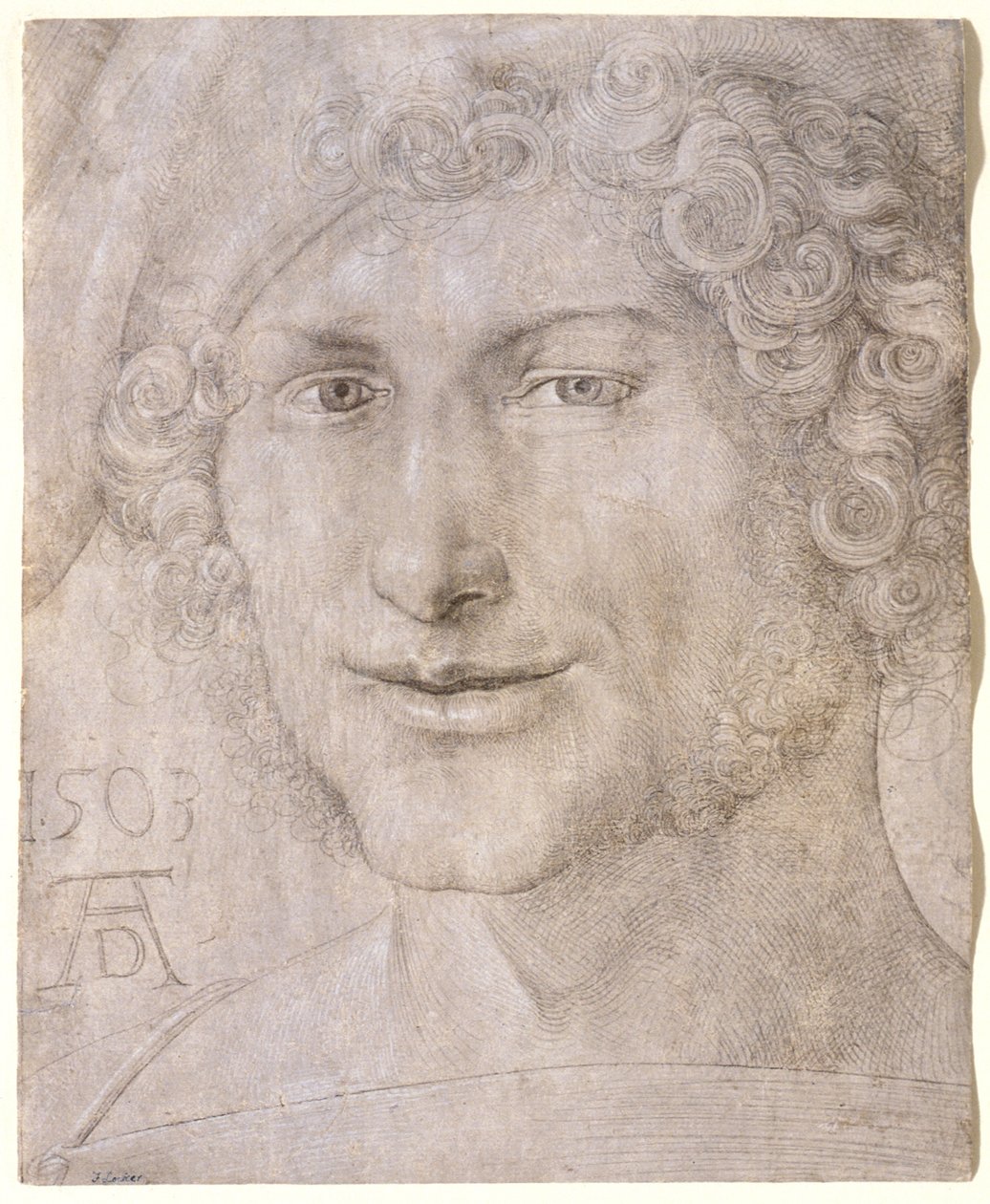 Hlava mladého muže od Albrecht Dürer