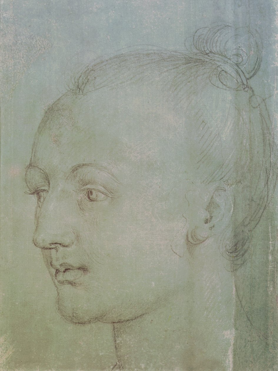 Hlava mladé ženy (černá křída zvýrazněná bílou křídou na zeleném papíře) od Albrecht Dürer
