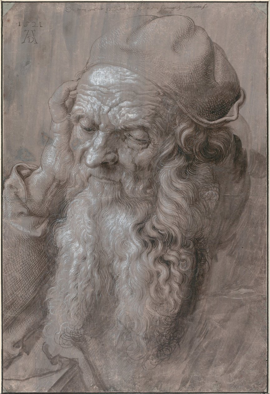 Hlava starého muže od Albrecht Dürer