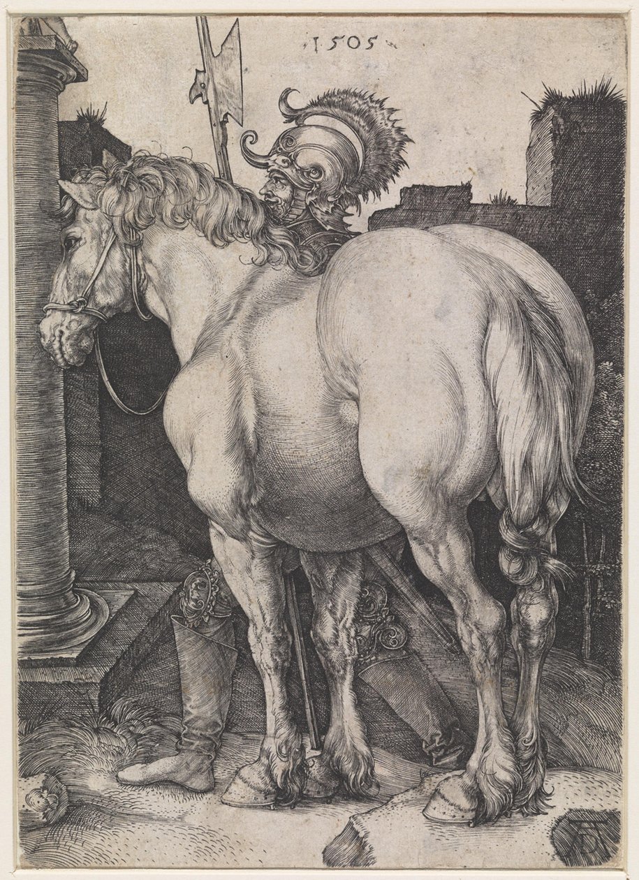Velký kůň od Albrecht Dürer