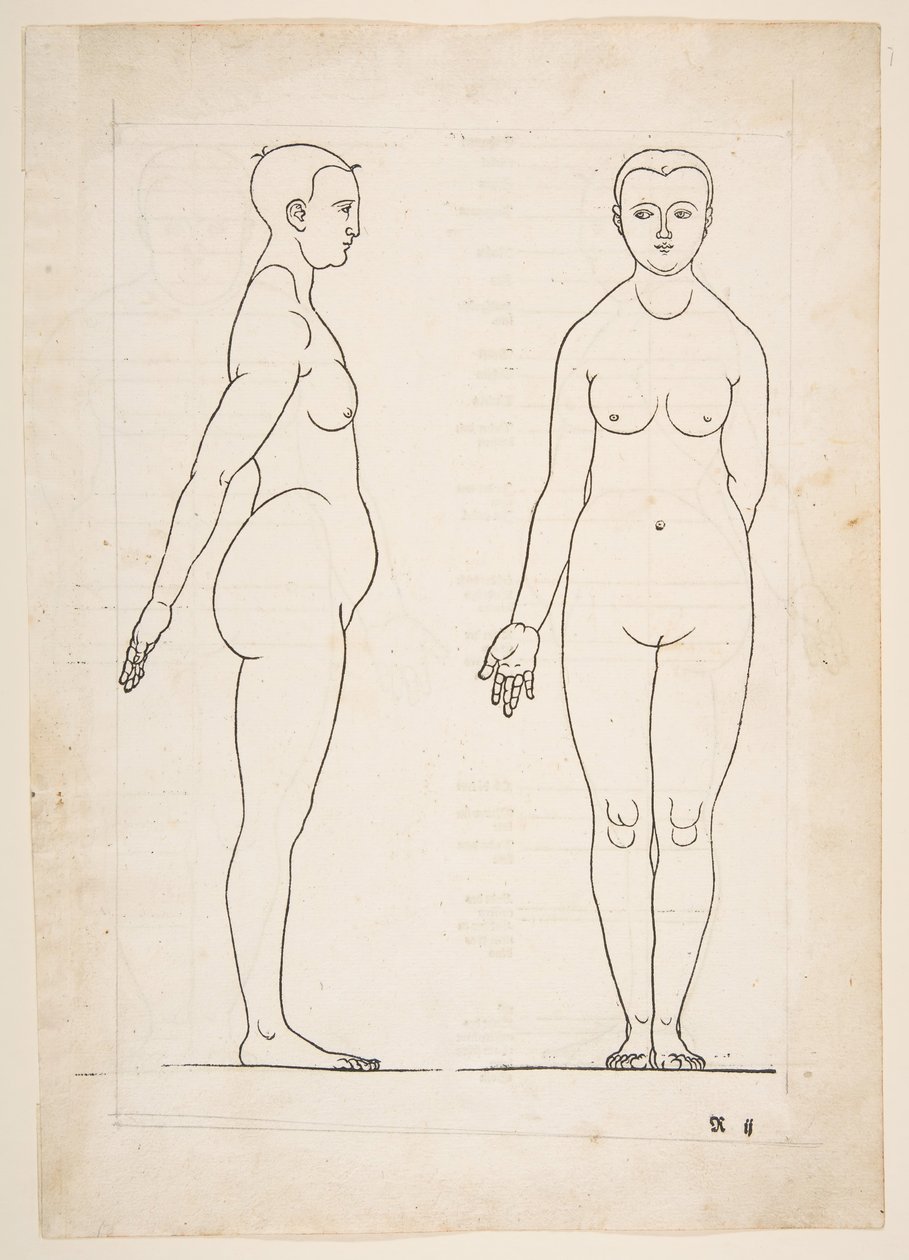 Ilustrace z Dürerových Čtyř knih o lidské proporci, Norimberk, 1528.n.d. od Albrecht Dürer