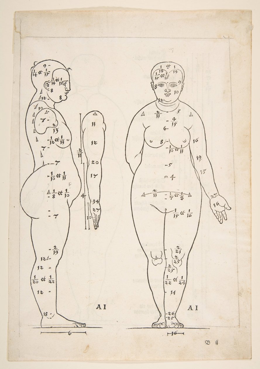 Ilustrace z Dürerových Čtyř knih o lidském poměru, Norimberk, 1528.n.d. od Albrecht Dürer