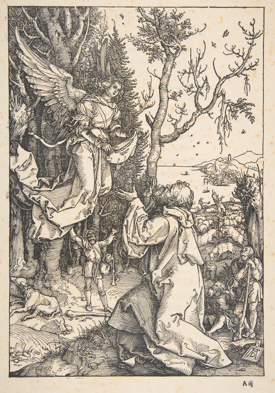 Jáchym a anděl, z „Života Panny Marie“ od Albrecht Dürer