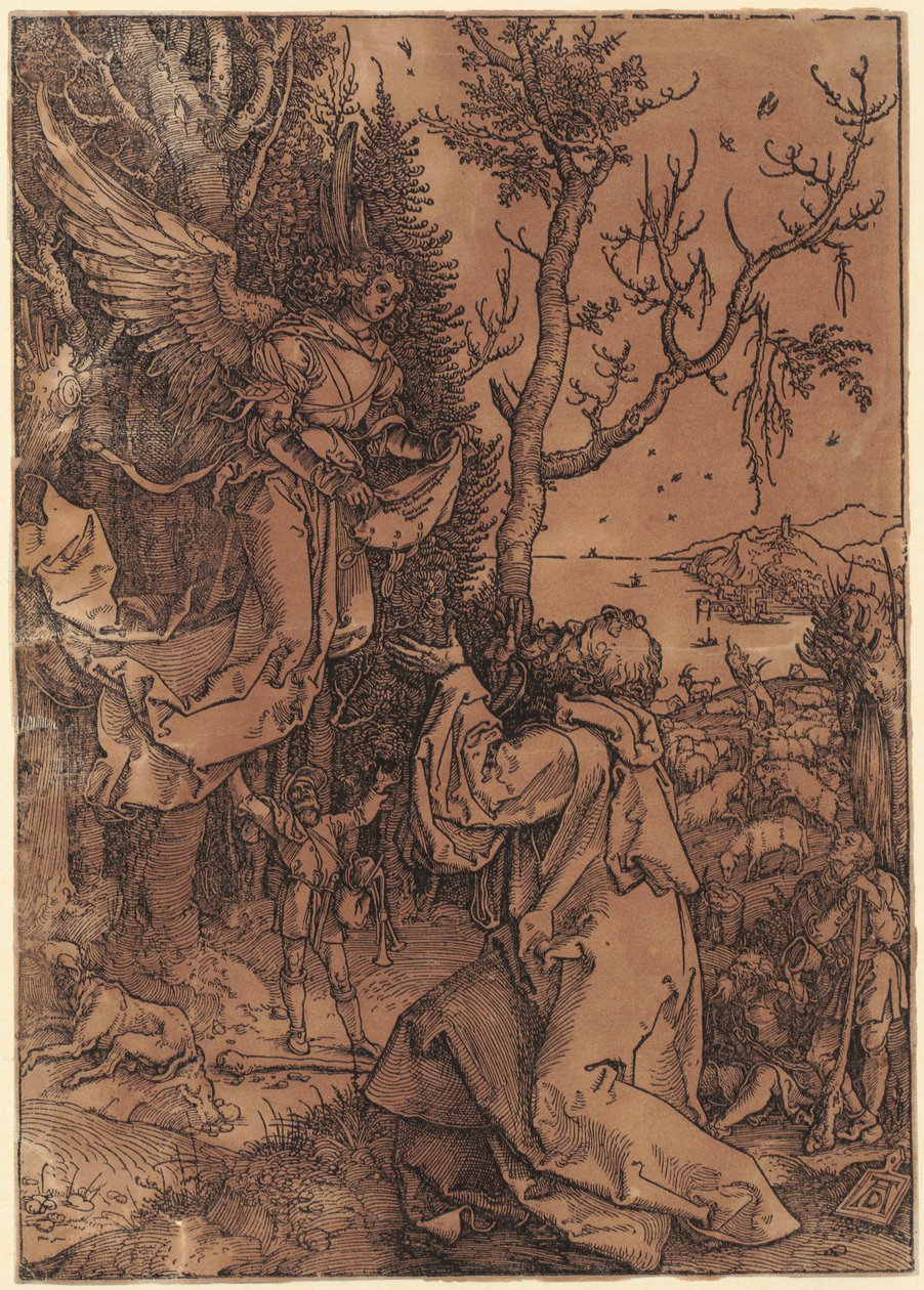 Jáchym na poli, list 3 ze série „Život Panny Marie“ od Albrecht Dürer