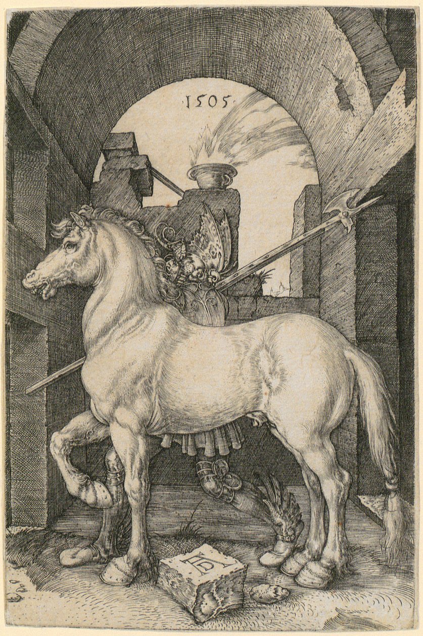 Malý kůň od Albrecht Dürer