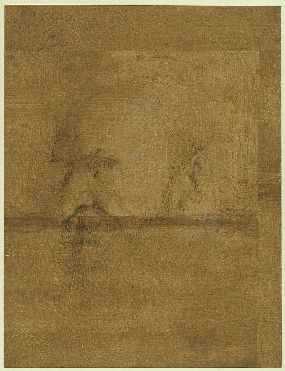 Hlava apoštola Pavla od Albrecht Dürer