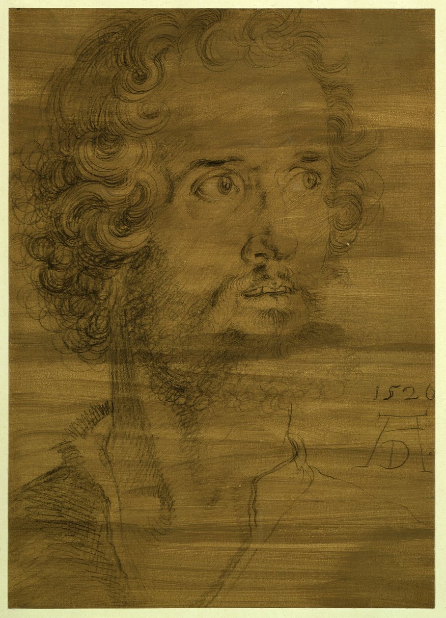 Hlava evangelisty Marka od Albrecht Dürer