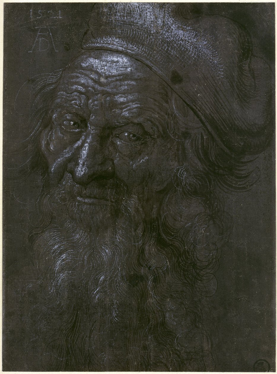 Hlava 93letého starce od Albrecht Dürer