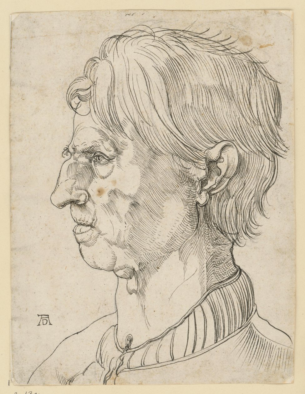 Hlava staršího vousatého muže, z profilu doleva od Albrecht Dürer