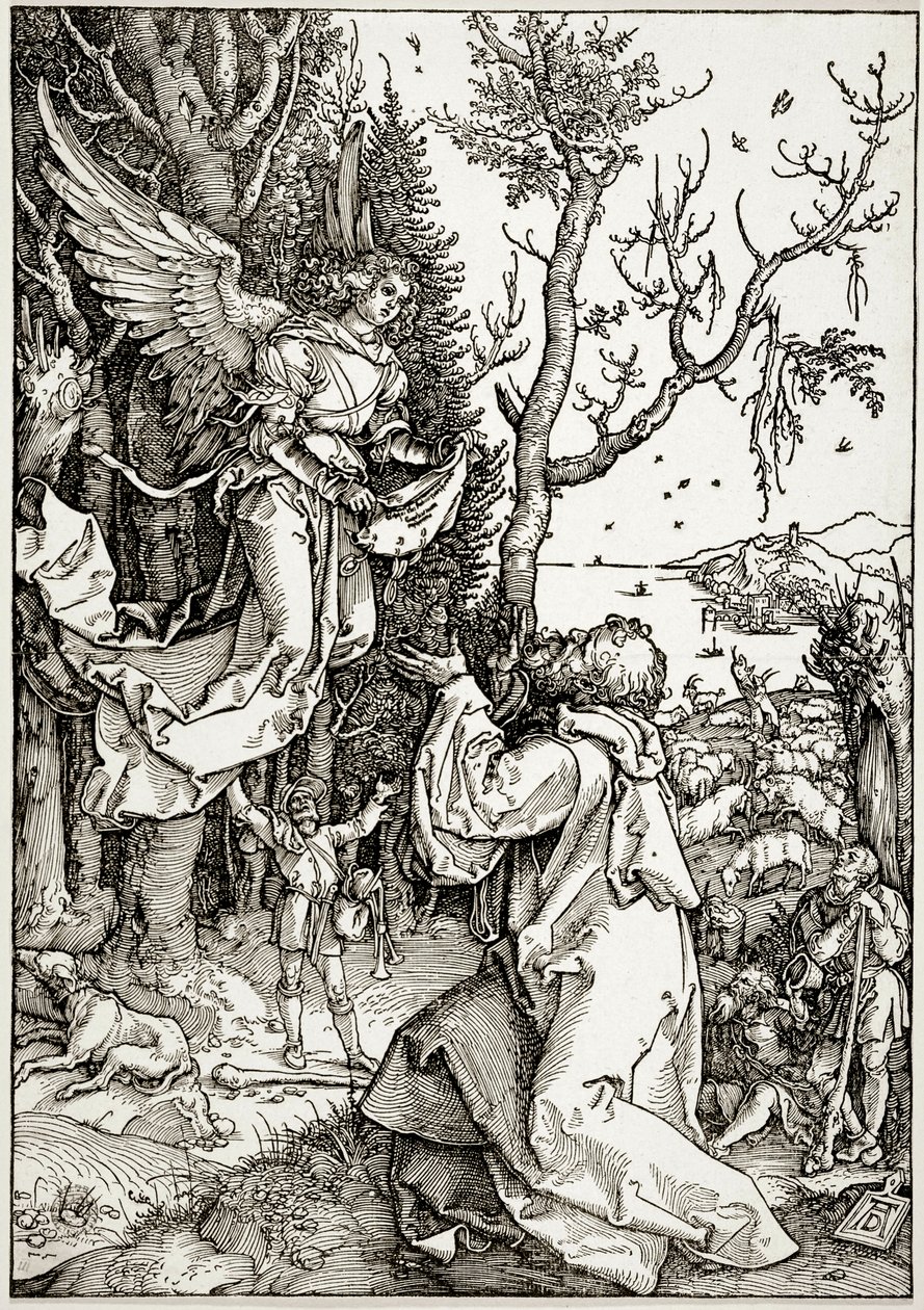Život Panny Marie: Jáchym a anděl (Bartsch 78) od Albrecht Dürer