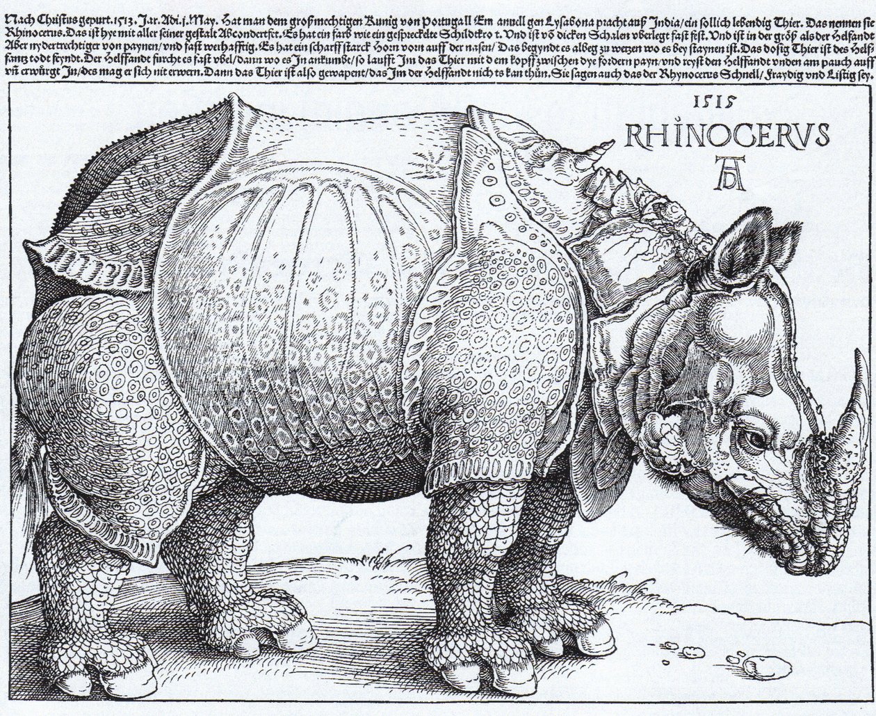 Latinsky:  Rhinocerus Nosorožec od Albrecht Dürer