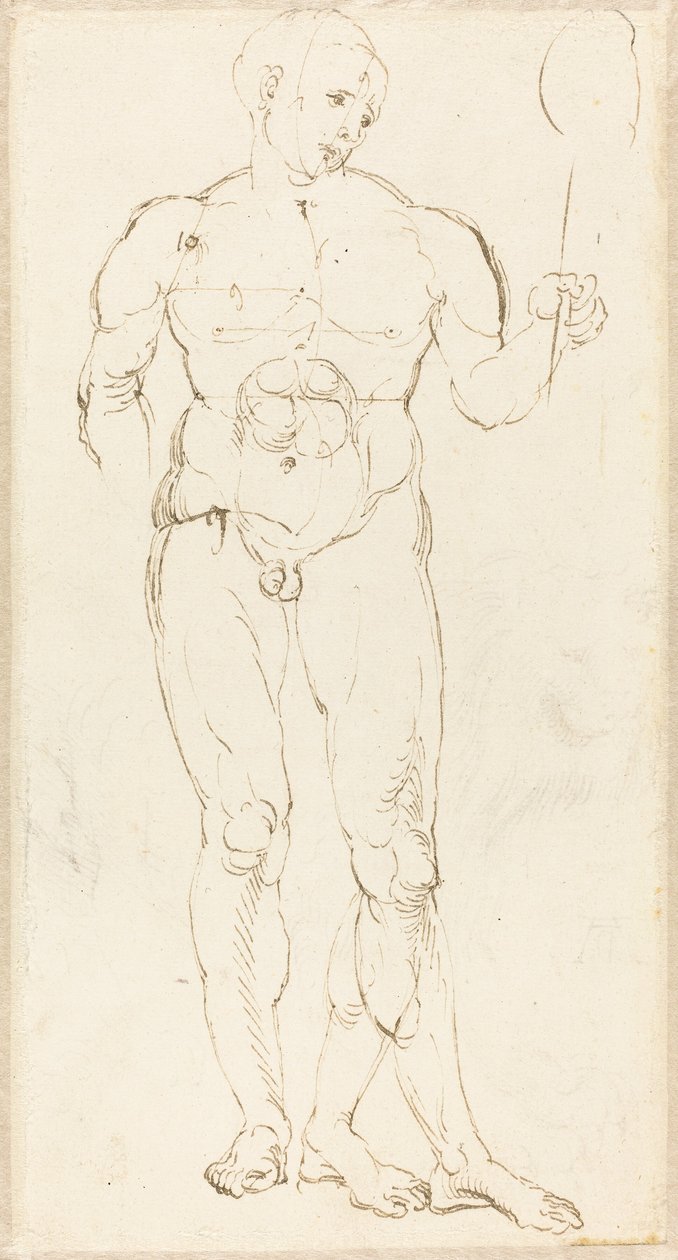 Mužský akt drží zrcadlo [recto] od Albrecht Dürer