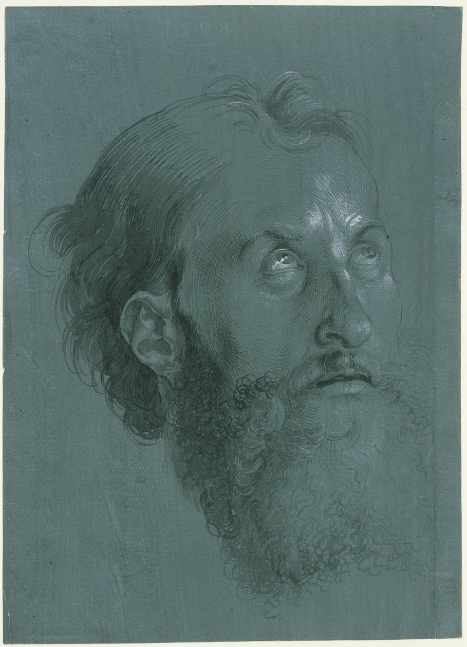 Hlava apoštola obrácená doprava od Albrecht Dürer