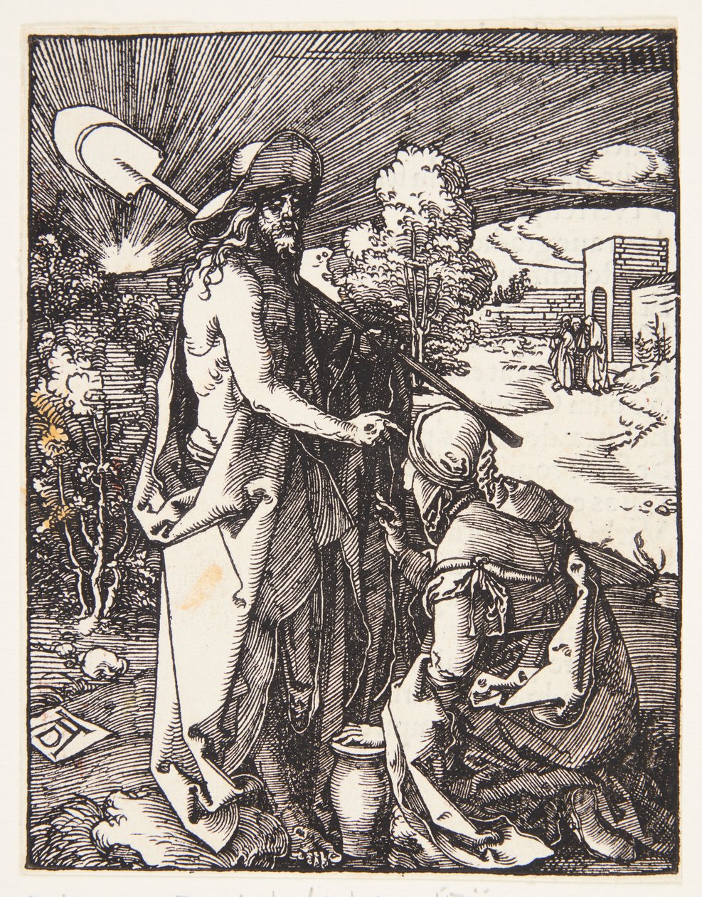 Nedotýkej se mne od Albrecht Dürer