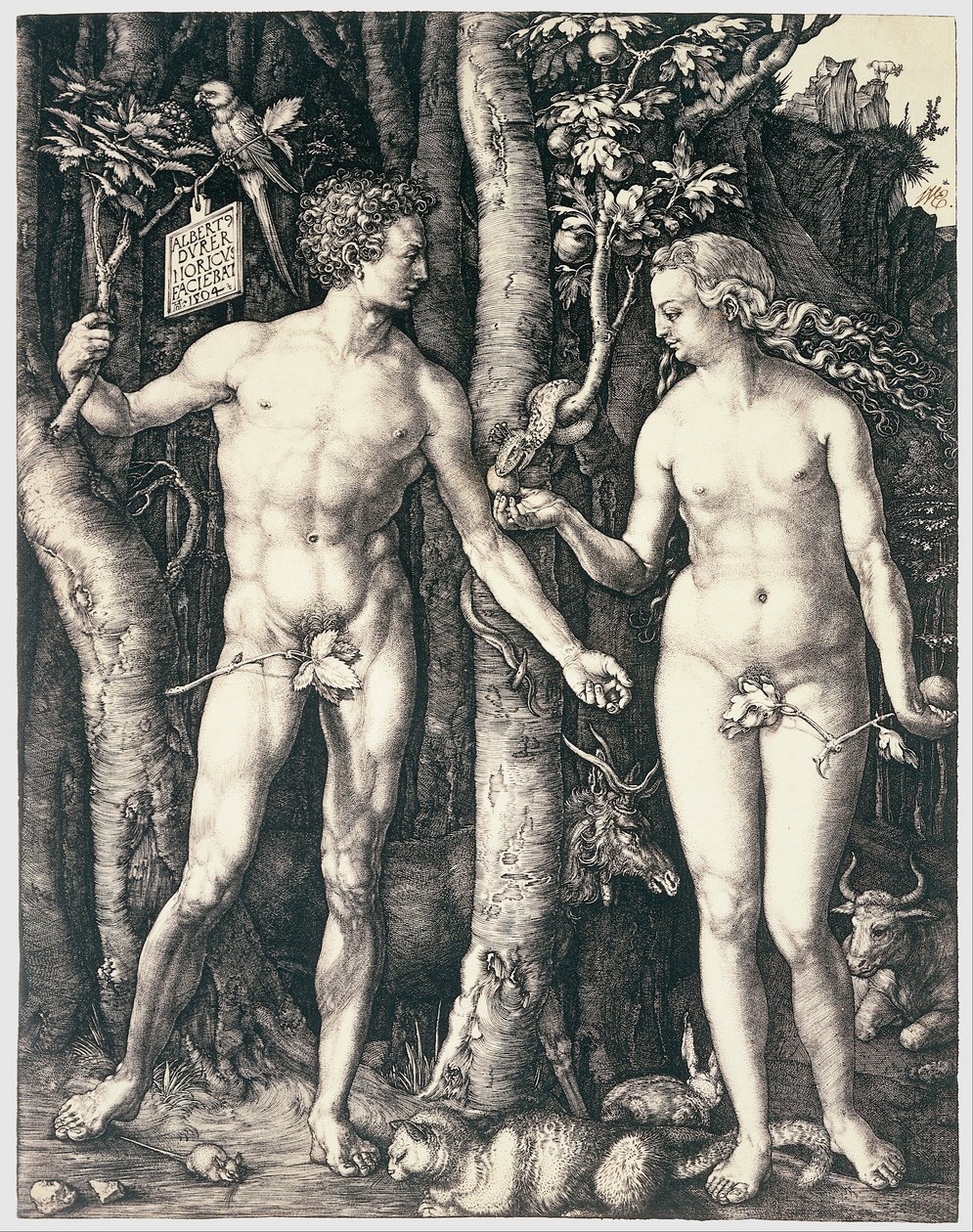 Prvotní hřích od Albrecht Dürer