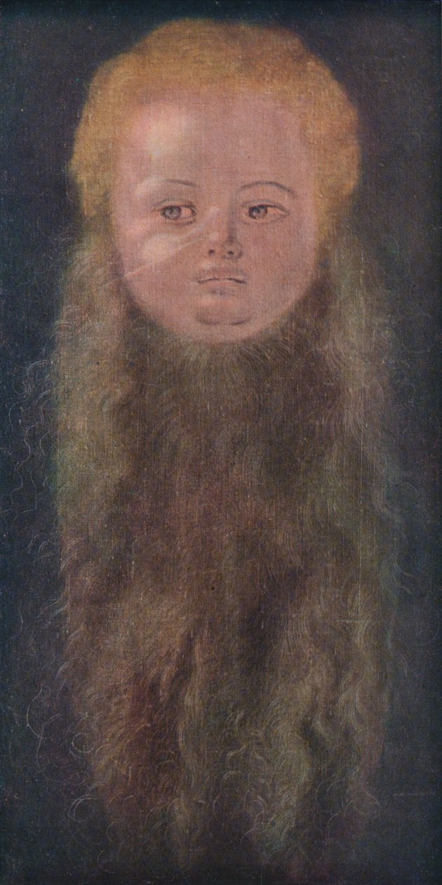 Portrét chlapce s dlouhým plnovousem, 1527, 1939 od Albrecht Dürer