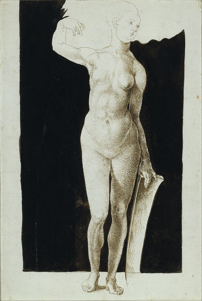 Studie proporcí ženského aktu se štítem od Albrecht Dürer