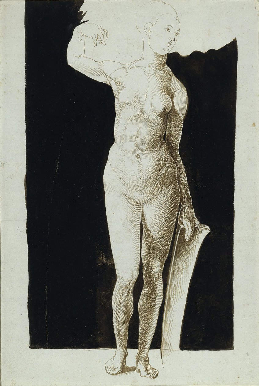 Proporční studie ženského aktu se štítem, 1500 od Albrecht Dürer