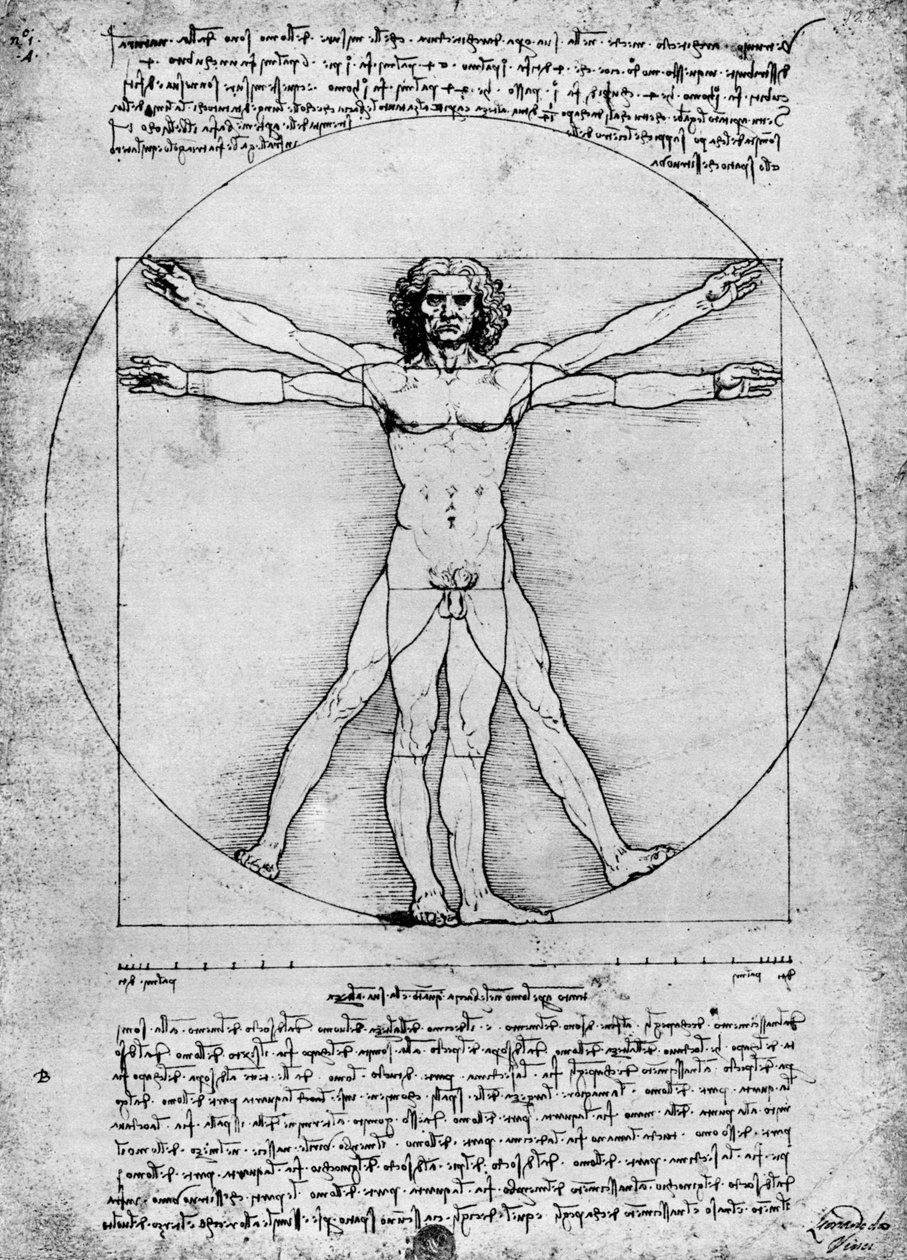 Proporce lidské postavy, c1492, 1936 od Albrecht Dürer