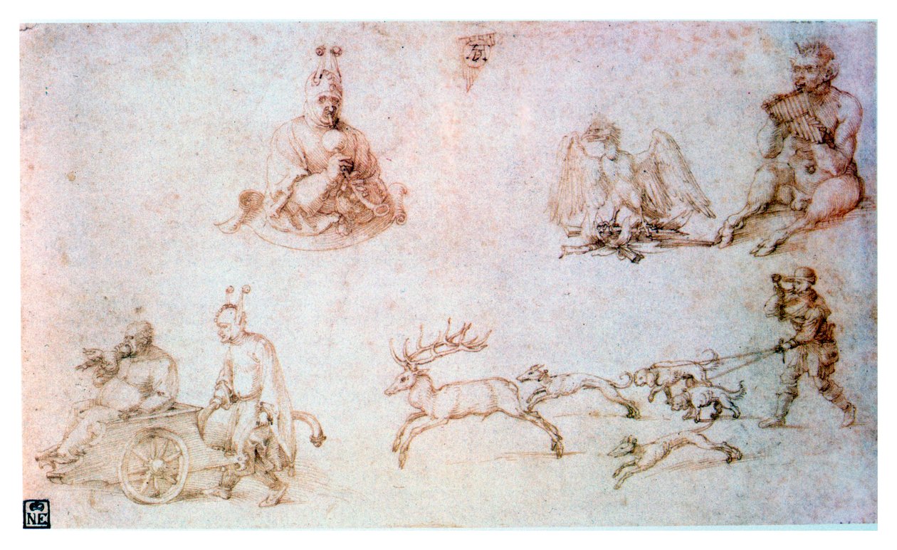 Studie červené křídy, c1500 od Albrecht Dürer