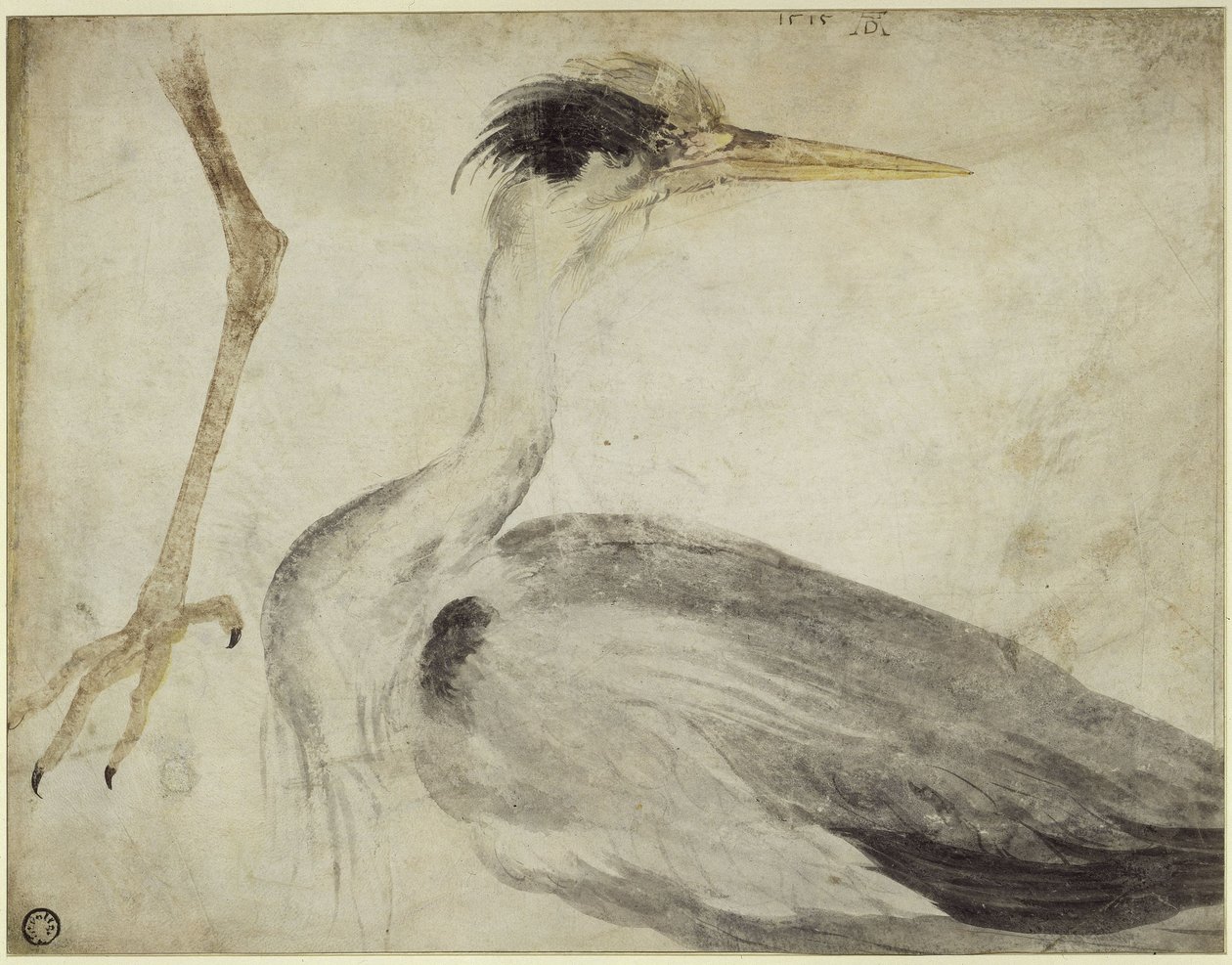 Volavka od Albrecht Dürer