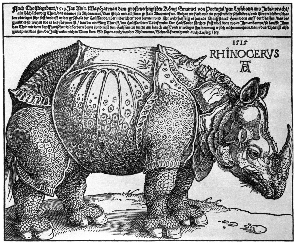 Nosorožec, tisk darovaný Maxmiliánovi I. králem Lisabonu, 1515, 1936 od Albrecht Dürer