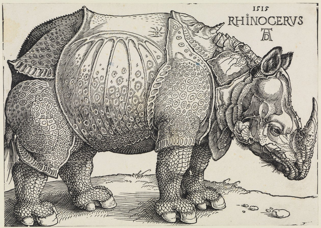 Rhinocerus (Nosorožec) od Albrecht Dürer