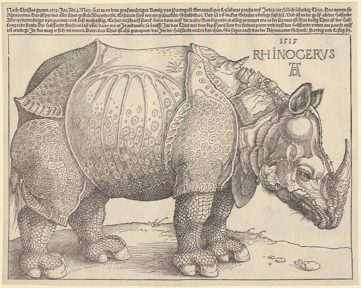 Nosorožec od Albrecht Dürer