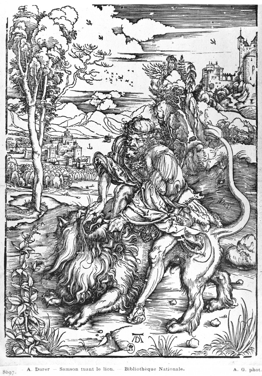 Samson zabíjející lva, kolem 1496-98 od Albrecht Dürer