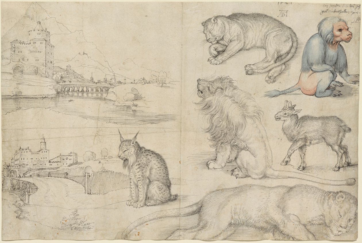Náčrtky zvířat a krajiny, 1521. od Albrecht Dürer