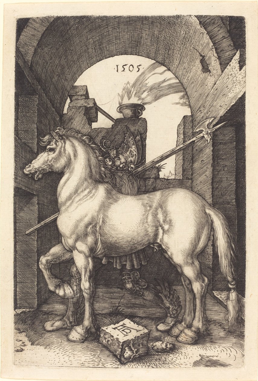 Malý kůň od Albrecht Dürer