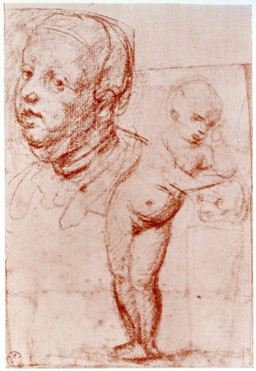 Studie, 1913. od Albrecht Dürer